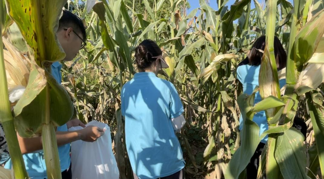 图片4.png 图片4.png