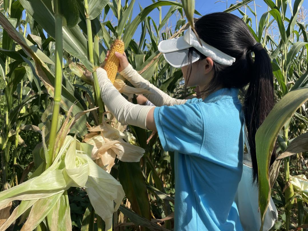 图片5.png 图片5.png